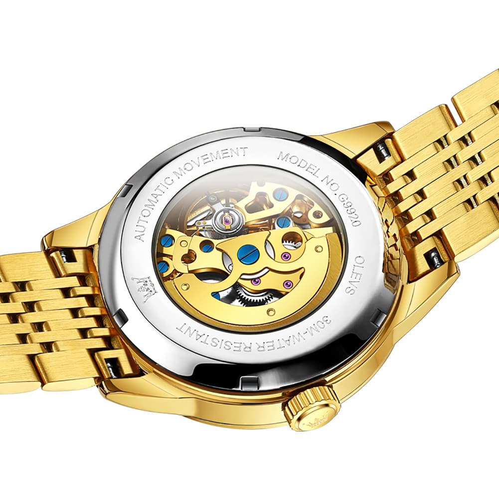 OLEVS Full Skeleton Diamond Dial Automatic Mechanical Watch 9920 for Men