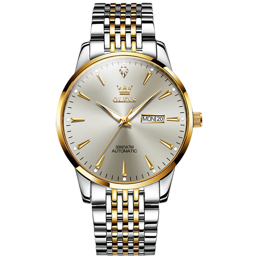 OLEVS 6635 Stainless Steel Automatic Mechanical Watch for Men