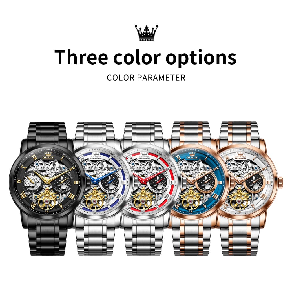 OLEVS 6670 Stainless Steel Skeleton Mechanical Watch for Men