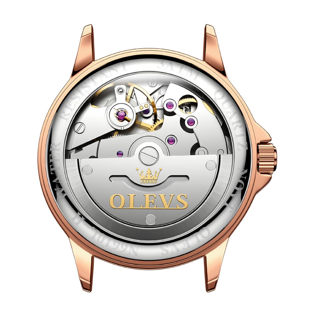 OLEVS 6610 Automatic Mechanical Ceramic Dragonfly Watch for Women