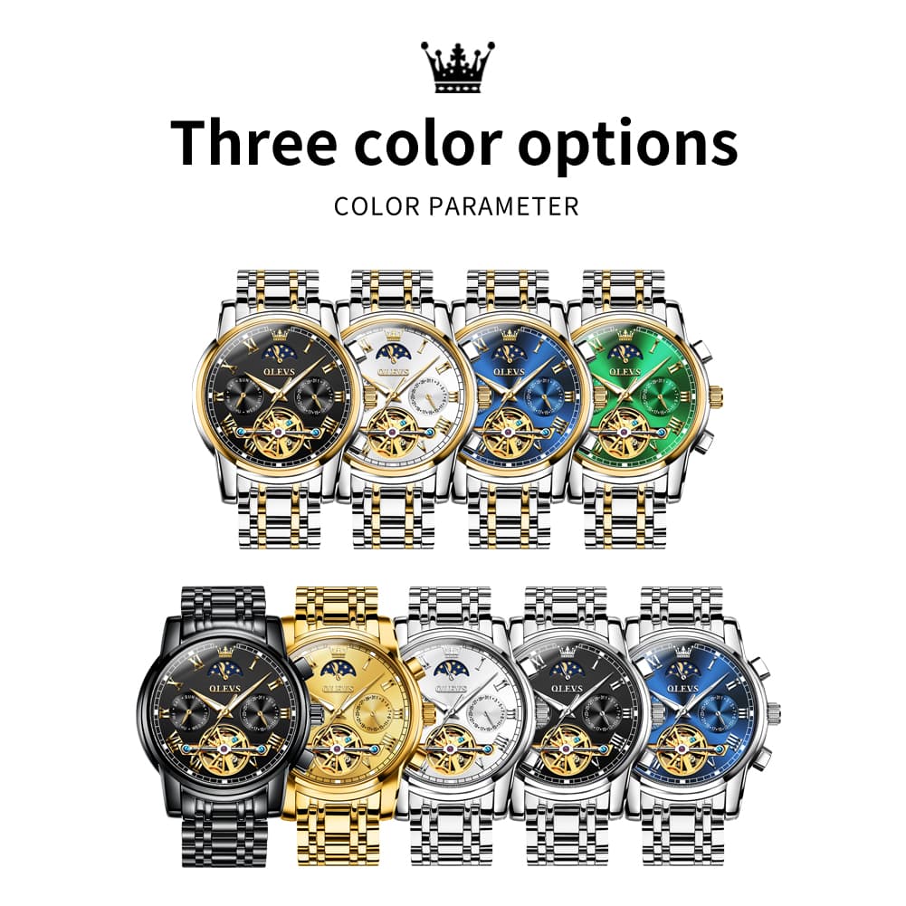OLEVS 6617 Automatic Mechanical Tourbillon Moon Phase Watch for Men