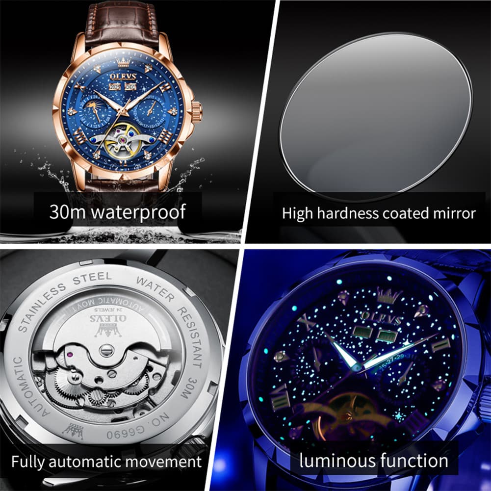 OLEVS 6690 Automatic Skeleton Starry Sky Steel Leather Watch for Men