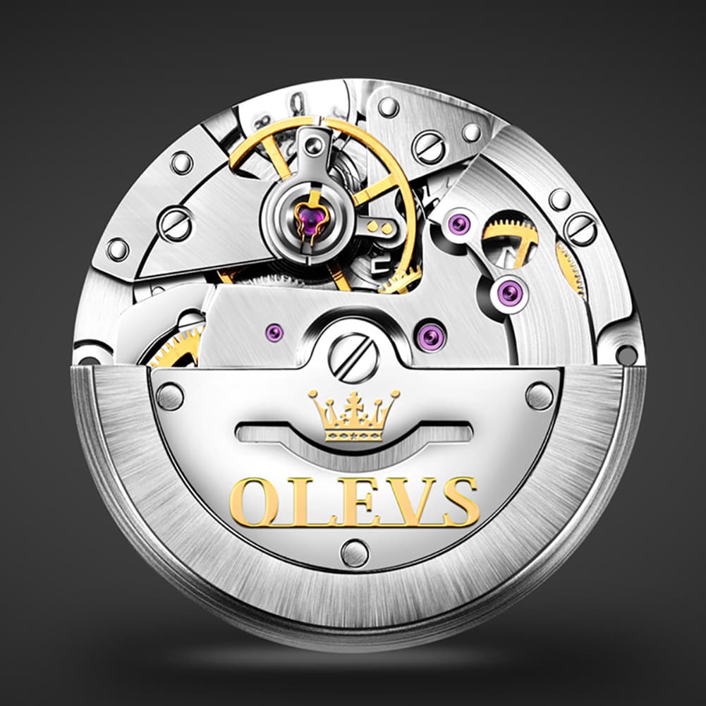 OLEVS 6653 Stainless Steel Automatic Mechanical Watch for Men