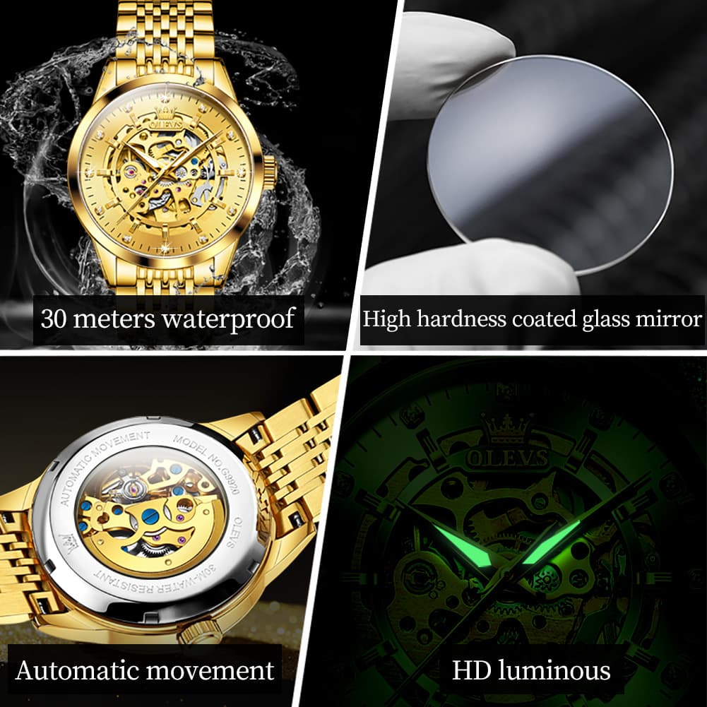 OLEVS Full Skeleton Diamond Dial Automatic Mechanical Watch 9920 for Men