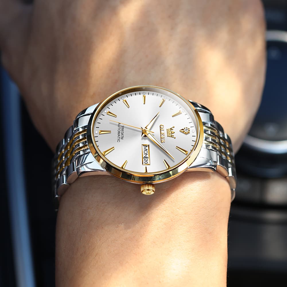 OLEVS 6635 Stainless Steel Automatic Mechanical Watch for Men