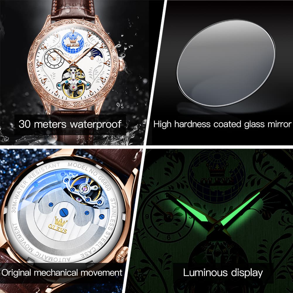 OLEVS 6660 Leather Globe Skeleton Mechanical Watch for Men