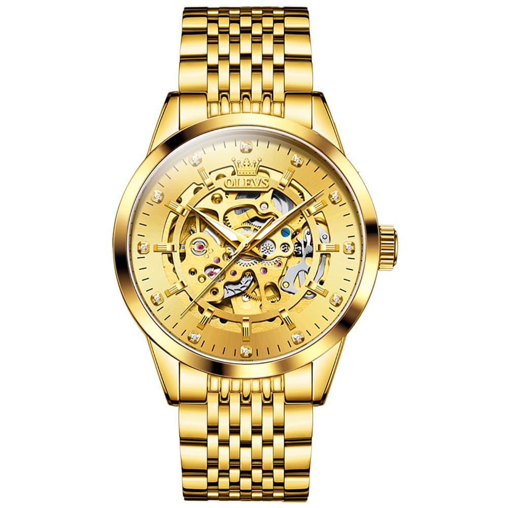 OLEVS Full Skeleton Diamond Dial Automatic Mechanical Watch 9920 for Men