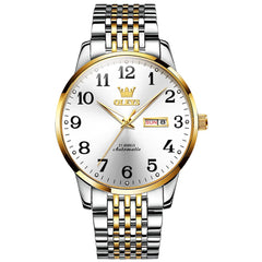 OLEVS 6666 Stainless Steel Mechanical Big Numeral Watch for Men