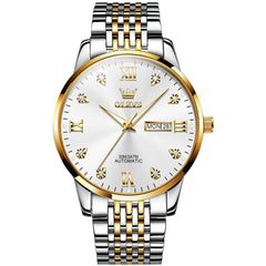 OLEVS 6673 Diamond Mechanical Stainless Steel Watch for Men