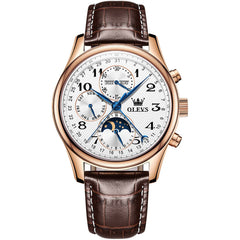 OLEVS 6667 Stainless Steel Mechanical Moon Phase Watch for Men