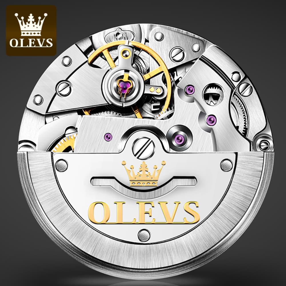 OLEVS 6665 Stainless Steel Pi Xiu Lucky Mechanical Watch for Men