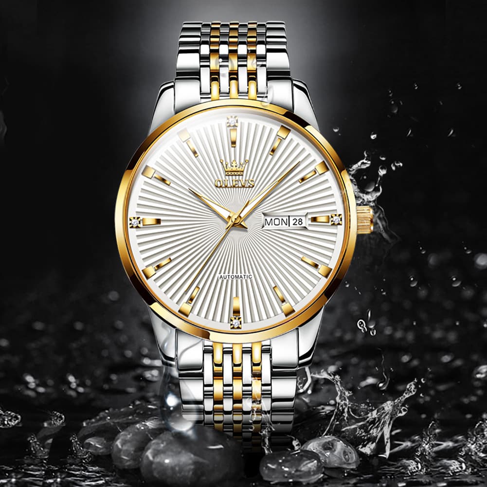 OLEVS 6653 Stainless Steel Automatic Mechanical Watch for Men