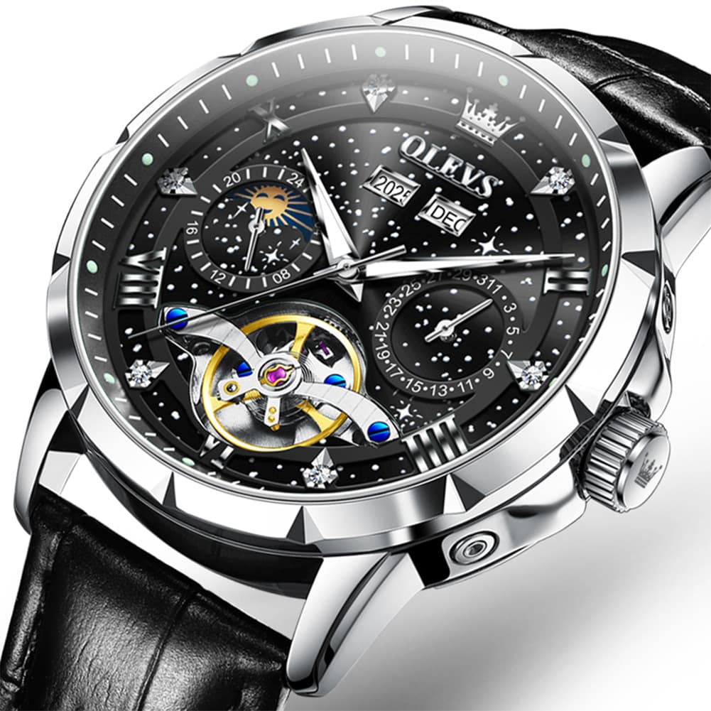 OLEVS 6690 Automatic Skeleton Starry Sky Steel Leather Watch for Men