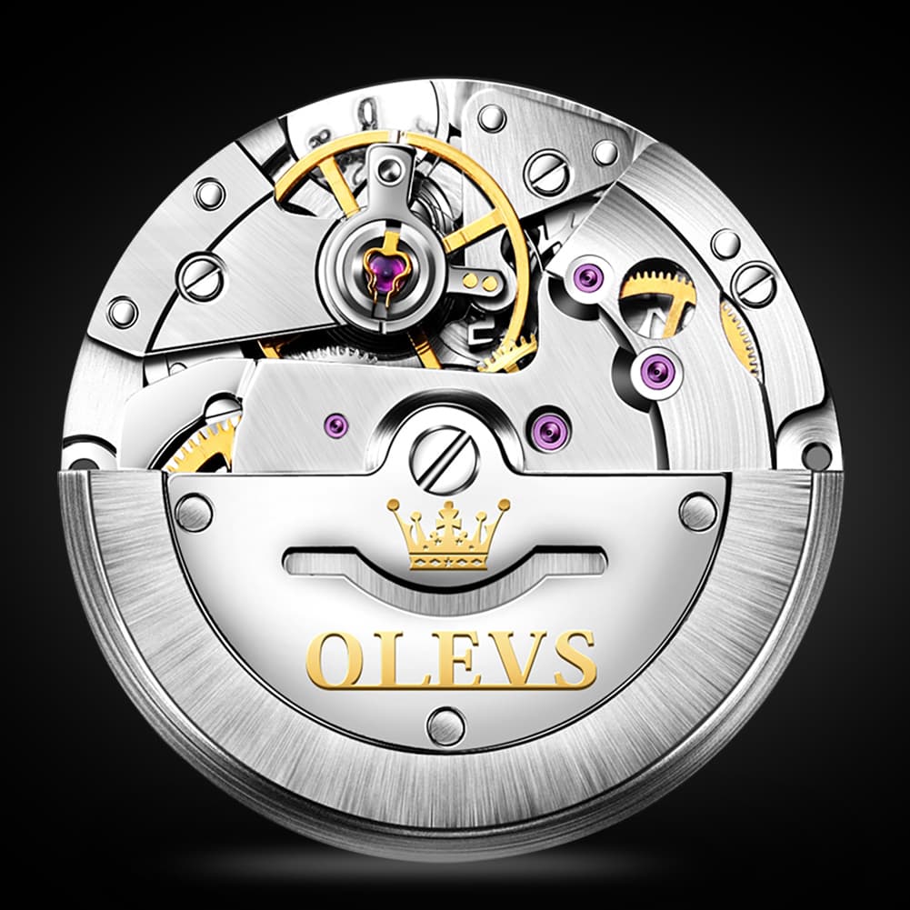 OLEVS 6635 Stainless Steel Automatic Mechanical Watch for Men