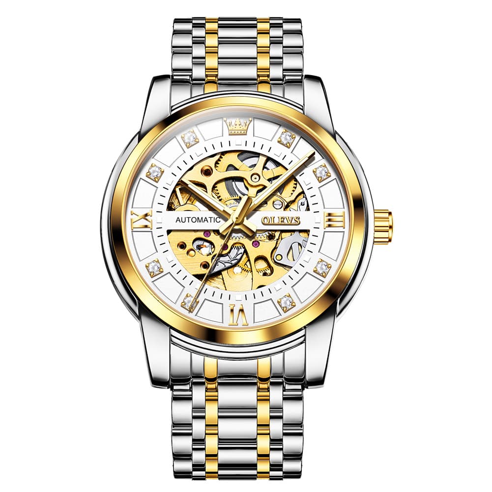 OLEVS Full Skeleton Diamond Dial Automatic Mechanical Watch 9901 for Men