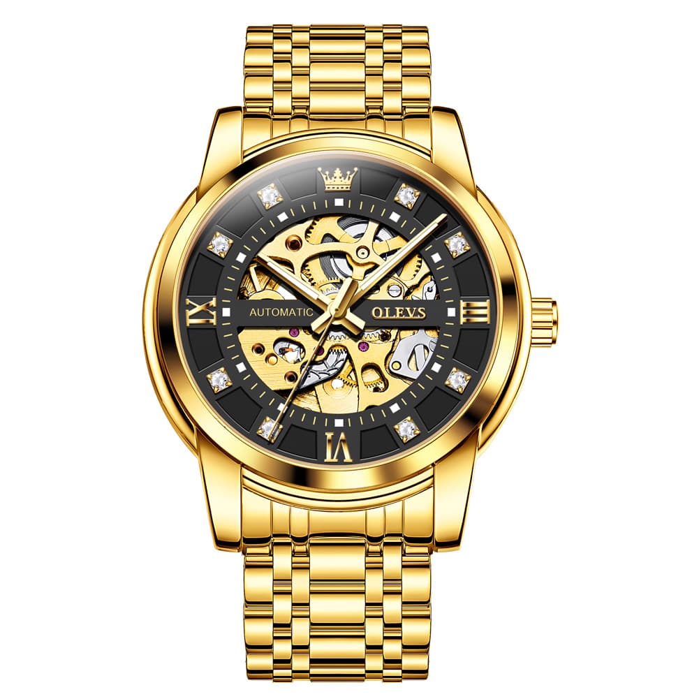 OLEVS Full Skeleton Diamond Dial Automatic Mechanical Watch 9901 for Men