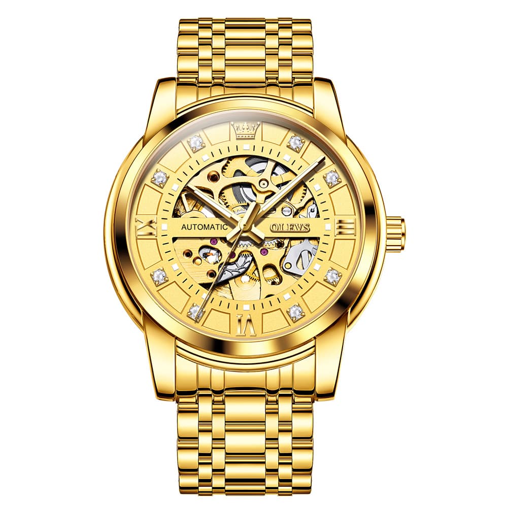 OLEVS Full Skeleton Diamond Dial Automatic Mechanical Watch 9901 for Men