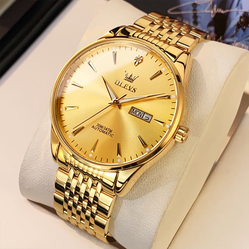 OLEVS 6635 Stainless Steel Automatic Mechanical Watch for Men