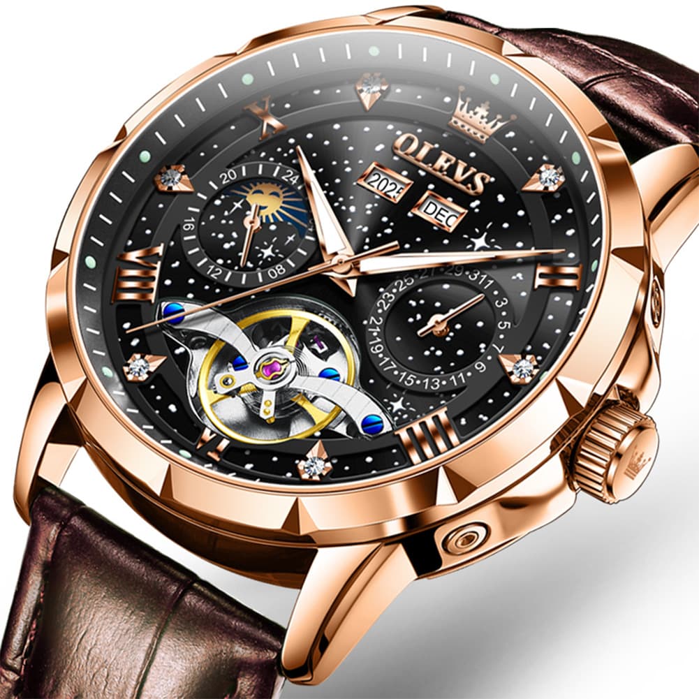 OLEVS 6690 Automatic Skeleton Starry Sky Steel Leather Watch for Men