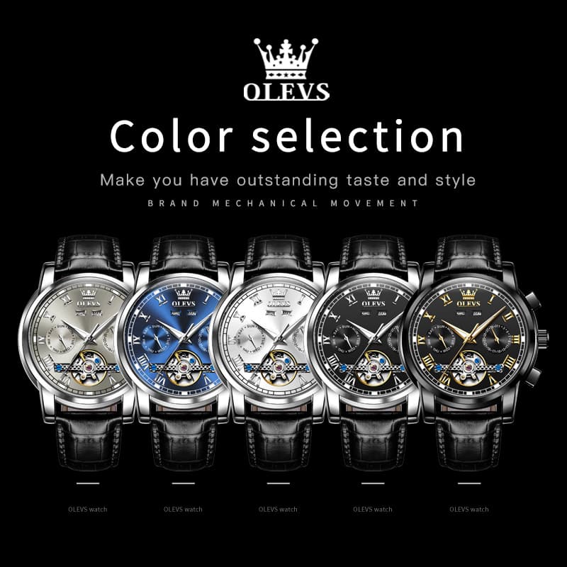 OLEVS 6607 Automatic Mechanical Tourbillon Design Watch for Men