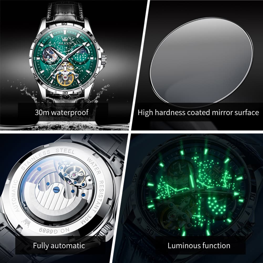 OLEVS 6689 Automatic Skeleton Starry Sky Leather Steel Watch for Men