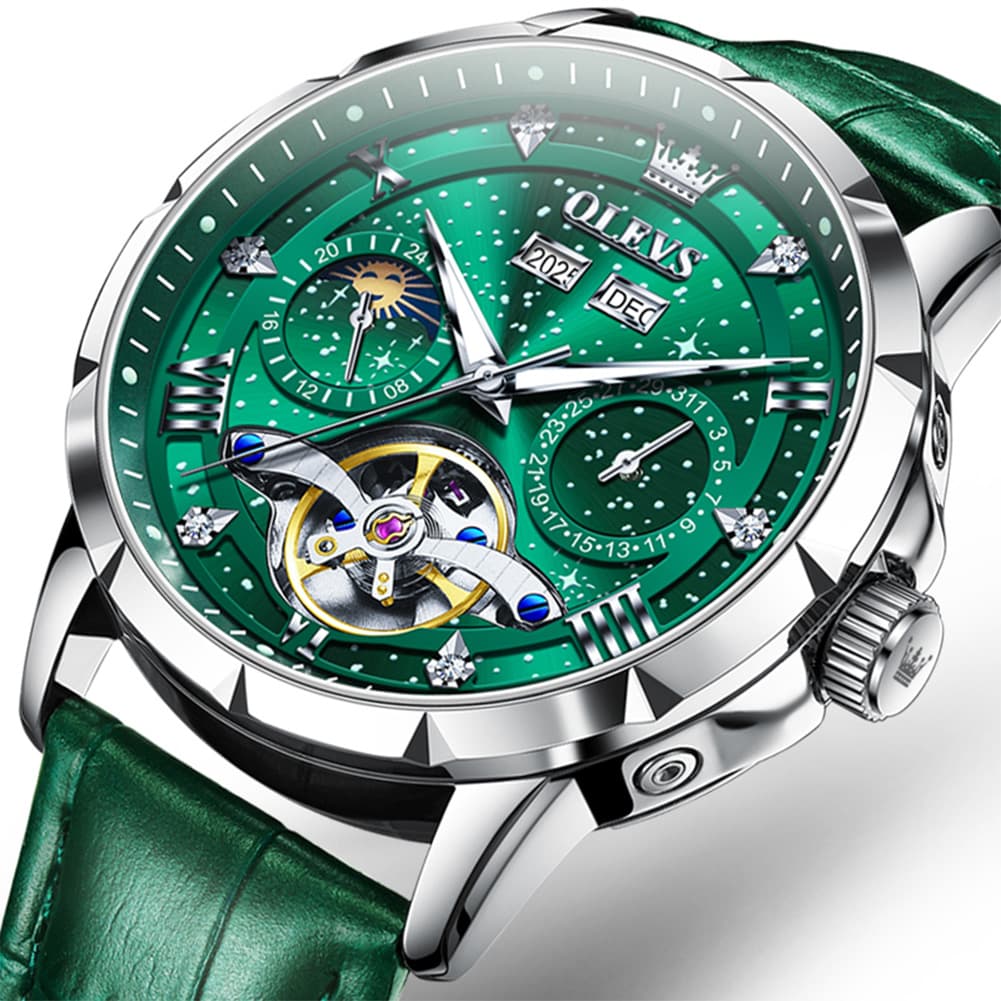 OLEVS 6690 Automatic Skeleton Starry Sky Steel Leather Watch for Men