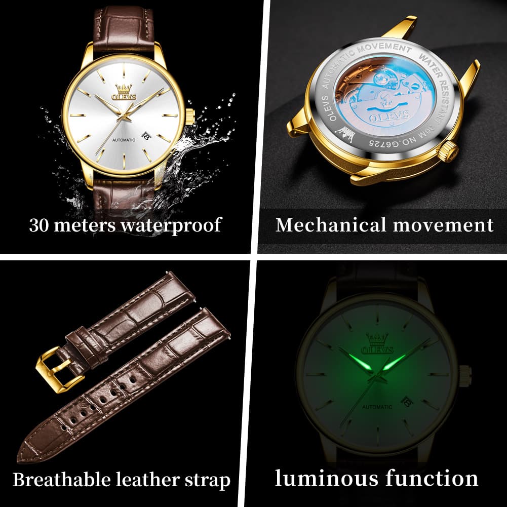 OLEVS 6725 Minimalist Leather Strap Automatic Mechanical Lightweight Watch For Men