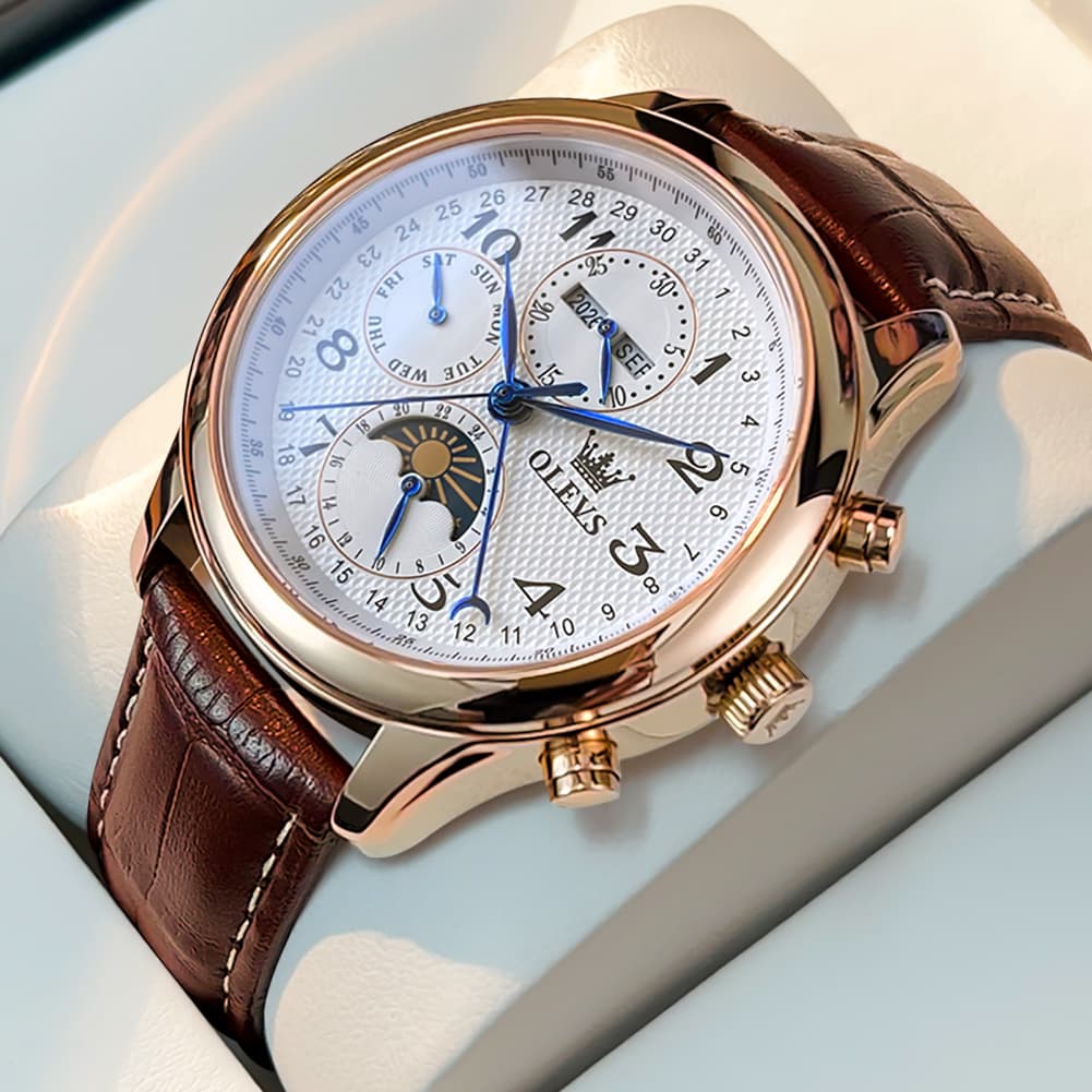 OLEVS 6667 Stainless Steel Mechanical Moon Phase Watch for Men - Leather Silver White Watch | Olevs Watch Store