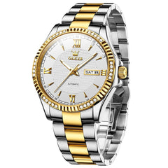 OLEVS 6676 Diamond Bezel Automatic Steel Watch for Men - All Gold Watch | Olevs Watch Store